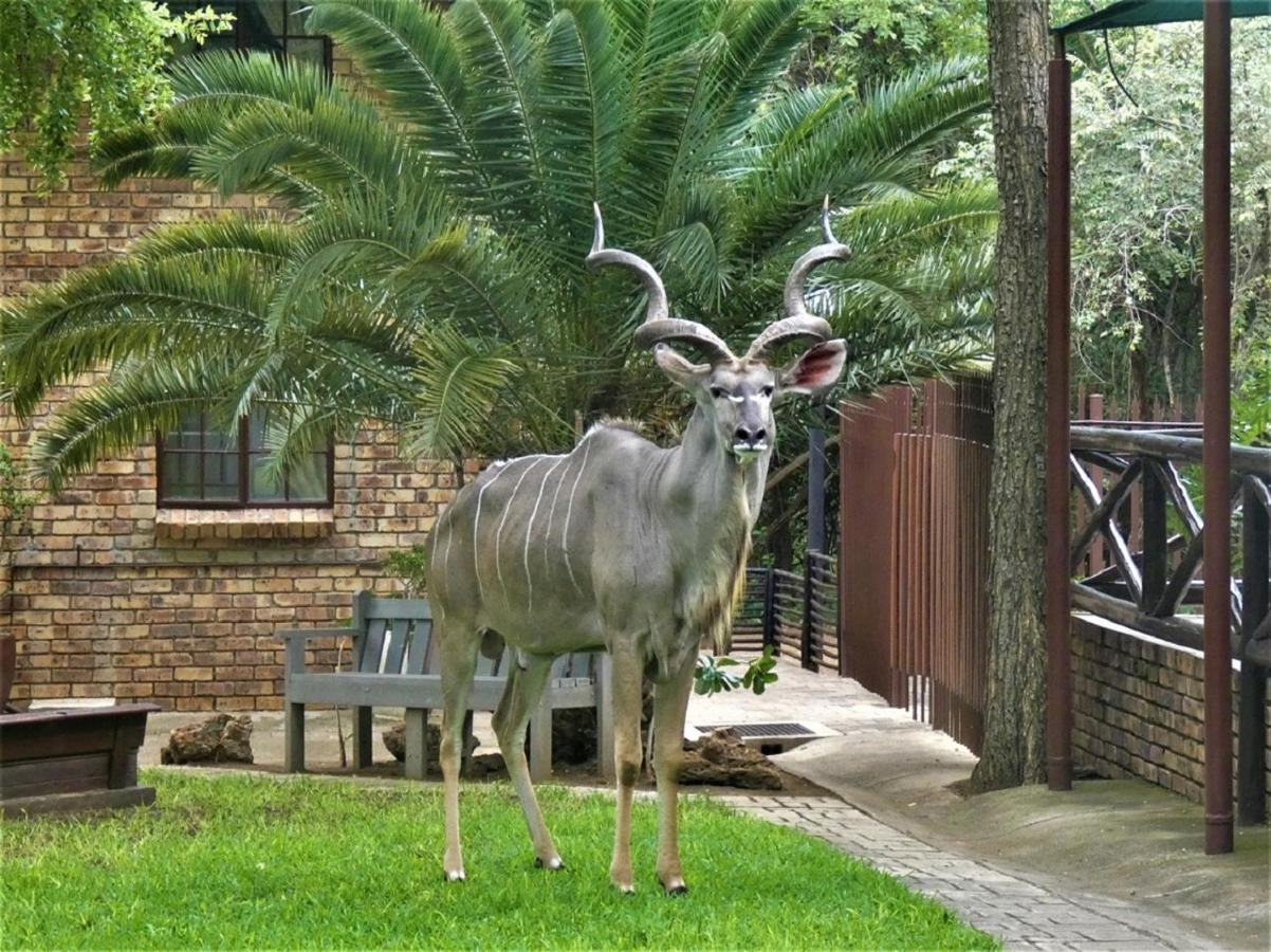 Weltevrede Lodge - Self Catering Houses Марлот-Парк Екстер'єр фото